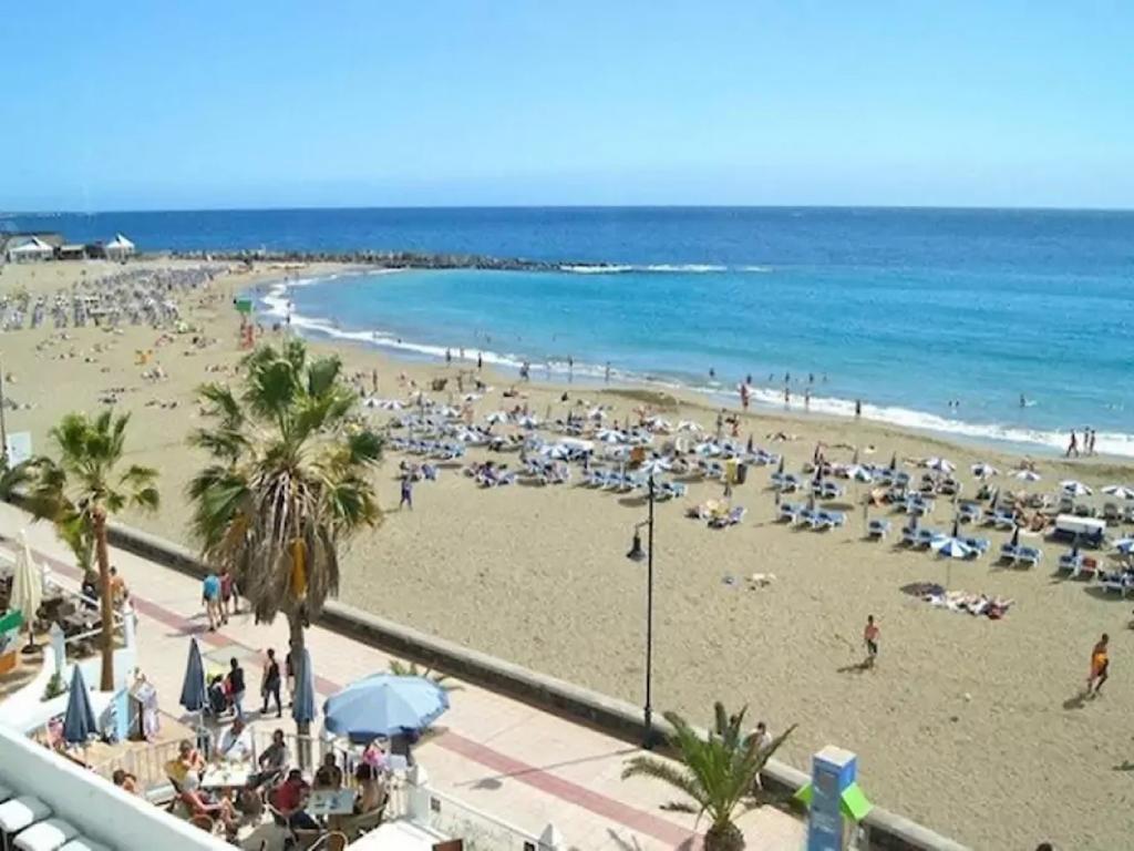 Jardin Canario Primera Linea De Playa Los Cristianos  Kültér fotó